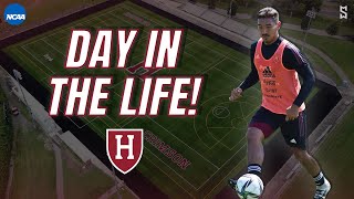 A Day In The Life Of A Division 1 Soccer Player  Harvard [upl. by Baldwin]