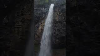 Wasserfall Germany🌊 subscribe travel nature wasserfall goviral nature [upl. by Jereld999]