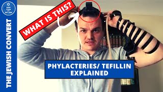 Everything You Need to Know About Tefillin  Biblical Phylacteries [upl. by Nohsram596]