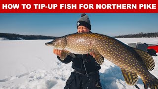 How To TipUp Fish For Northern Pike Complete Rigging [upl. by Eanwahs284]