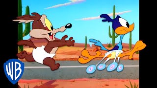 Looney Tunes  Baby Wile E Coyote and Baby Road Runner  Classic Cartoon  WB Kids [upl. by Llij]