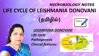 Life cycle of Leishmania donovani  Pathogenesis  clinical features  sandfly  Tamil [upl. by Rolyt]