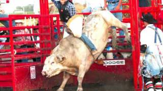 T amp C Rodeo Company Promo Video [upl. by Gonick]