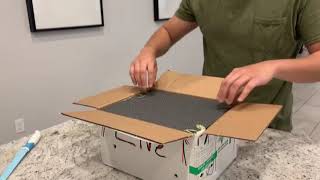 Aldabra Tortoise Unboxing [upl. by Bibby]