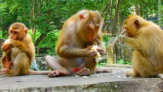 Best moment of pregnant Libby share orange with RB amp Leo Libby gives each orange to RB amp Leo eating [upl. by Dorman]