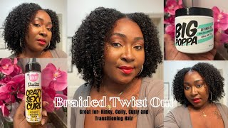 BRAIDED TWIST OUT  Trying Out THE DOUX  Big Poppa Gel  BeeGirl Curl Foam [upl. by Nirrac]