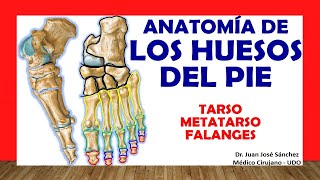 Masaje y ejercicios para juanetes o hallux valgus [upl. by Brenda]