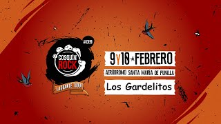 Los Gardelitos  Cosquin Rock 2019 HD [upl. by Evelunn993]