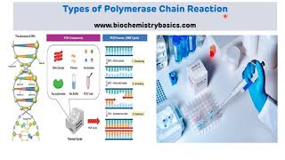 Types of Polymerase Chain Reaction  Reverse Transcriptase PCR RT PCR and Real Time PCR [upl. by Ynetsed]