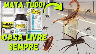 MARAVILHOSO COMO ACABAR COM ARANHAS ESCORPIÕES E OUTROS INSETOS DENTRO DE CASAKOTHRINE E KELLDRIN [upl. by Auod]