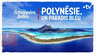 Polynésie un paradis bleu  Échappées belles [upl. by Dnaleel]