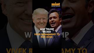 This Is Why donaldtrump Picked vivekramaswamy To Run DOGE With elonmusk [upl. by Eiznek]