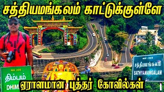 சத்தியமங்கலம் காடுகள்🌿💐  Thimbam  Sathyamangalam Forest  Odayarpalya   Mettur Senthil World [upl. by Samuela]