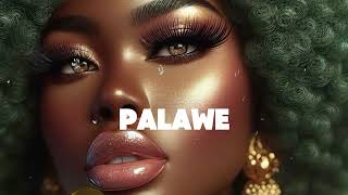 Dadju x Tayc type beat quotPALAWEquot  Afro Guitar x Afro Beat type beat 2024 [upl. by Eniretac]