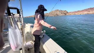 Fishing at lake Havasu Arizona [upl. by Danila408]