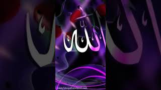 Humarey payre nabi ilovemyprophetmuhammadsaw love love love [upl. by Nytram733]