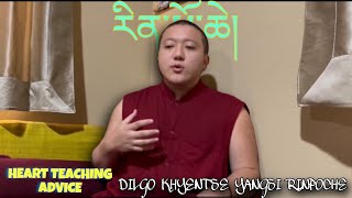 HEART TEACHING ADVICE BY DILGO KHYENTSE YANGSI RINPOCHE ll [upl. by Durgy]