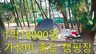 하루15000원 몽산포자동차야영장 노총각 둘이서 다녀온 감성없는 현실캠핑 [upl. by Yenahteb]