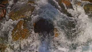 bubbling mountain river water washing brown rocks [upl. by Leuname594]