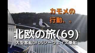 大型客船DFDSシーウェイズ乗船  911（ノルウェー 2019年 北欧4ヶ国の旅69120 ）■The travel to NorwayDFDS boarding■■Norway [upl. by Romilda]