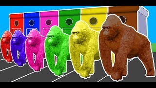 Colors Animals Gorilla Lion amp Dinosaurs Fun Learning Video for Kids [upl. by Desireah]