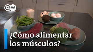 ¿Cuánta proteína necesito para hacer deporte [upl. by Nivel]