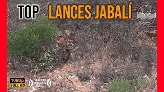 TOP LANCES DE JABALI  TEMPORADA DE MONTERÍAS 2022 2023 [upl. by Nitnelav649]