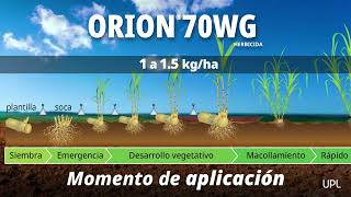 Orion® 70 WG  Herbicida pre y postemergente [upl. by Thurber]