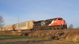 Canadian National  Eastbound RackStack Train 13 Nov 24 [upl. by Hardy]