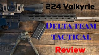 Delta team tactical AR15 review [upl. by Biggs]