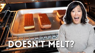 Walmart Ice Cream Sandwich Wont Melt Lets Put It In The Oven [upl. by Reivaj]