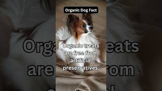 Organic Dog Fact [upl. by Lindgren]