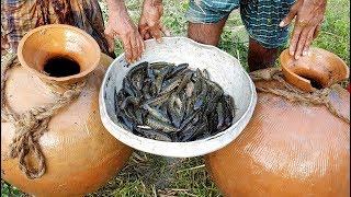 Unusual Fishing  Trapping Huge Country Fish Using Big Pottery Pot  Big Pot Fish Catching [upl. by Chapen]