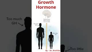 Growth Hormone Functions Benefits amp How It Affects Your Body  Essential Biology Explained [upl. by Enyahc]