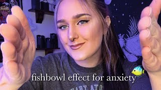 ASMR Fishbowl Effect for Anxiety 🐠 [upl. by Norabal668]