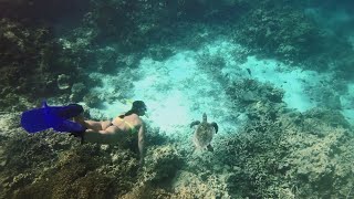 Embudu Village  Diving and Snorkeling [upl. by Eileek29]