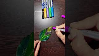 leaf lettering art 🌿 lettering handlettering leafart satisfying sowmidraws shorts video [upl. by Volkan]