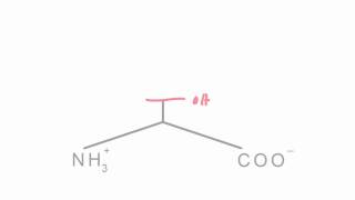 Memorize the 20 amino acids in 20 minutes Part 1 [upl. by Leopold515]