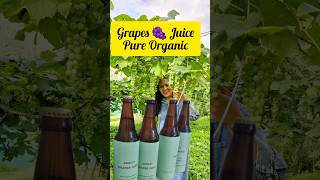 Local Organic grapes 🍇 Juice shortsvideo marketing how it is made😦 [upl. by Griffiths]