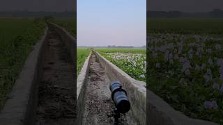 40x mobile lens testphotography telephotolens dslr shorts nature tech gaming [upl. by Chinua]