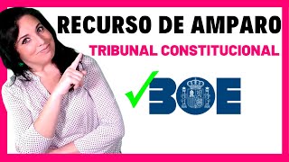 🔵 TRIBUNAL CONSTITUCIONAL OPOSICIONES 7  Recurso de Amparo [upl. by Airdua]