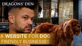 Travel Website For Dogs  Dragons Den [upl. by Puttergill]