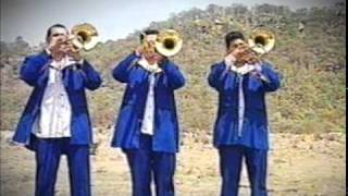 banda astilleros baciando botellas [upl. by Hameean]