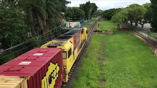 900 Subscriber Special Pinkenba freight trains 2024 [upl. by Qulllon]