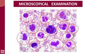 Hematology  1  U1L7  Examination [upl. by Xed588]