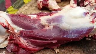 Fastest Butcher meat cutting skills foryou food cuttingskills meat cuttingviraltrending [upl. by Aivad854]