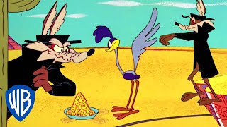 Looney Tunes  Wile Y Coyote the Failed Spy  Classic Cartoon  WB Kids [upl. by Norm]