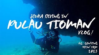 SCUBA DIVING AT PULAU TIOMAN  AOW at Bayu Dive Center Kg Genting [upl. by Yrevi651]