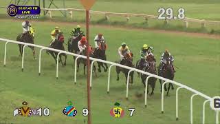 MYSTICAL MERLIN wins The Virija Plate Div2 [upl. by Seel]