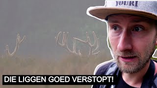 Vlog 336 Verstopte geweidragers 🦌  Sony A7IV [upl. by Abott]